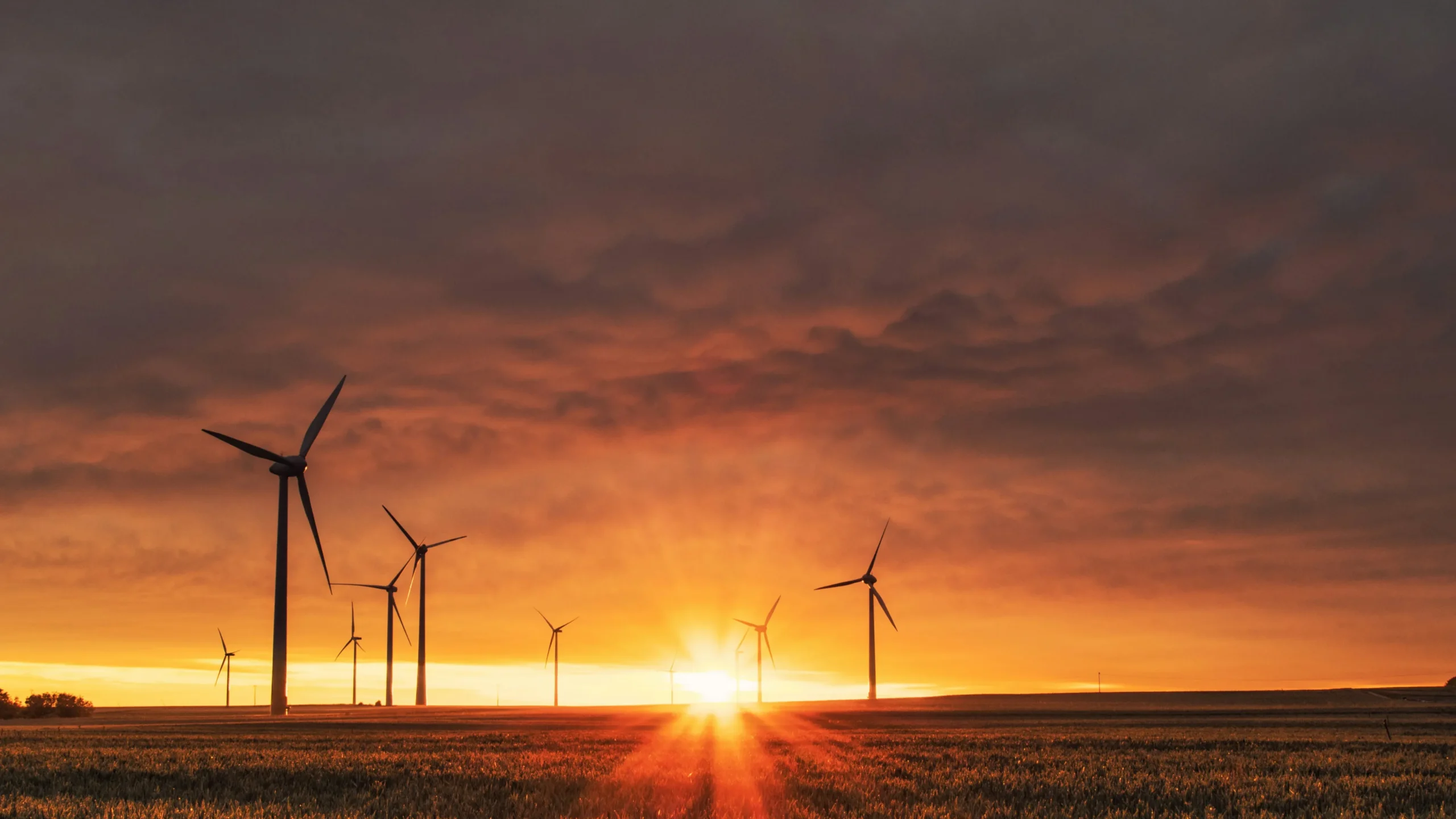 Sustainability